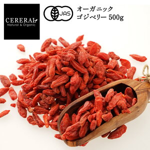 I[KjbN SWx[ (NR̎) 500g hCt[c L@JAS Z IWiy1`2cƓȓɏoׁz