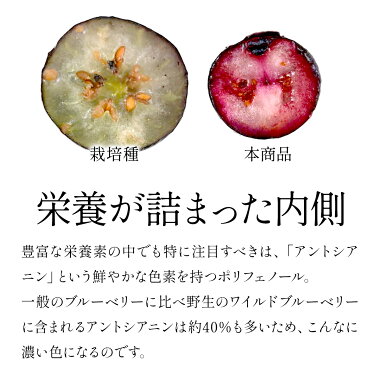 ［冷凍フルーツ］セレラルオーガニック冷凍ブルーベリー2kg(1kg×2袋)［冷凍のみ］【3～4営業日以内に出荷】5袋まで1配送でお届け【送料無料】