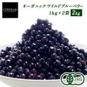［農薬栽培期間中不使用］ オーガニック ワイルド 冷凍ブルーベリー 2kg (1kg×2袋) (野生種) ［冷凍のみ］ 有機JAS …
