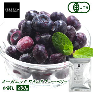 I[KjbN Ch Ⓚu[x[ 300g (쐶) mⓀ̂݁n L@JAS Z IWi ZXg Ji_Y L@ u[x[ 10܂܂1zł͂ y2`3cƓȓɏo