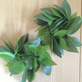 フラダンス用/髪飾り/アクセ【マイレ リストバンド】2個セット定形外送料無料