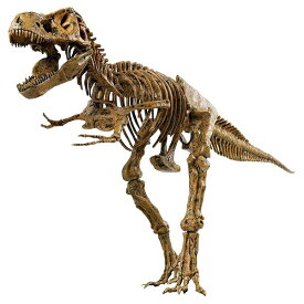 EDU-TOYS エデュトイ 恐竜工作 キット 51ピース ティラノサウルス VT026
