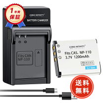 楽天市場】リチウム電池 カシオnp-160の通販