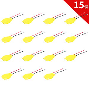 yԌ 5{z15 Vi GENERIC CR2032 RCdr ݊obe[ y200mAh 3Vz Ήp 1Nۏ \ ݊obepbN YIBI 2025IBI-ZEJP