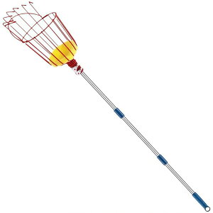 yԌ 5{zt[csbJ[ y Lk `  _ ʕn oXPbg ʕ `_ p |p ʎp ʕlJS (XvCX|[tt[csbJ[ 1.6m)