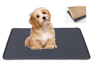 ybg gC}bg ybgV[c gCV[g L  􂦂 35×50cm@ybgV[g }bg  Rh~ ~