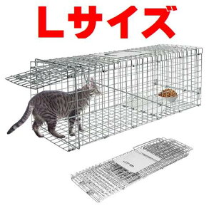 ߊl L Aj}gbv gbv LTCY C^` 쏜 ߊl  ߊl@   l ی   a Aj}Lb`[ _