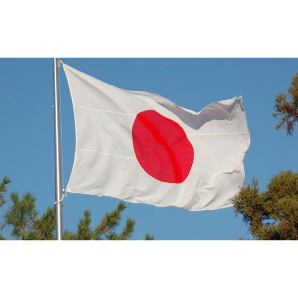 送料無料 日本国旗 大型 日の丸 高品質 インテリア ハイクオリティ 日本代表応援にも
