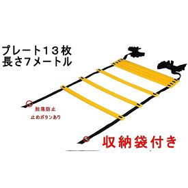 楽天市場 ラダーの通販