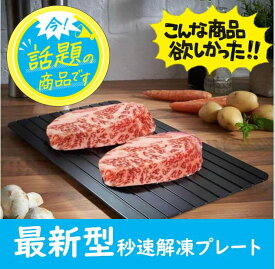 cesa beams　テレ東で紹介された 最新モデル 3.2mm正規品　解凍プレート 急速解凍　冷解食品解凍　家庭用 自然解凍 急速 解凍 冷凍食品対応　業務用 解凍プレート　まな板 粗熱　かっぱ橋道具街