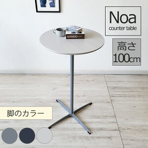 JE^[e[u nCe[u o[e[u ۃe[u a60cm 100cm  k JtF ~ X`[ ؖڒ X o[e[u l炵 _CjO e[N z