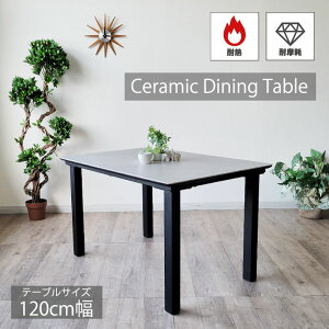 Z~bNe[u 120cm _CjOe[u  ϔM ϖ  k_ WpfB` Mɋ LYɋ V Vv4lp H 