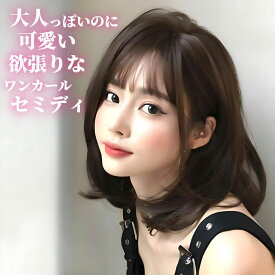 ウィッグ ワンカール セミディ ダーク ブラウン フルウィッグ 前髪あり 医療用 かつら ネット付き 自然 バレない 普段使い おしゃれ 小顔効果 即日出荷 送料無料