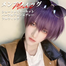 ウィッグ メンズ ショート レイヤー パープル グレー フルウィッグ 前髪あり 医療用 かつら ネット付き 自然 バレない 普段使い おしゃれ 小顔効果 即日出荷 送料無料