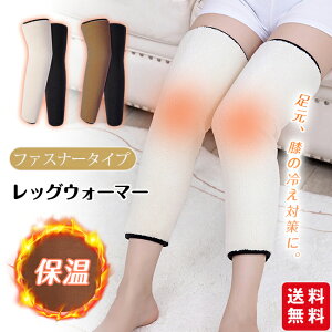 GT|[^[  Gp bOEH[}[ fB[X Y t@Xi[t EȒP 50cm O  h΍ ۉ