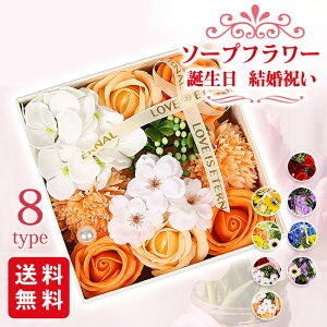 \[vt[ {bNXt[  t[ Mtg v[g a j ސE 