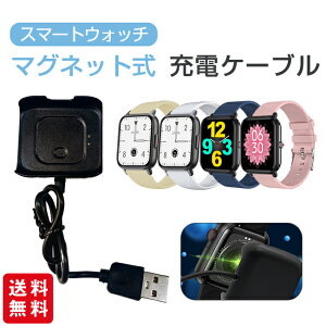 �y�N�[�|����12��OFF�z�X�}�[�g�E�H�b�` �[�d�P�[�u�� �}�O�l�b�g�� QS16PRO�p Q9PRO DM01 ���C USB�[�d�� �M�t�g