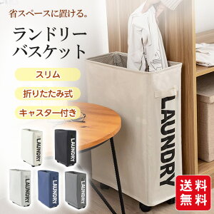 h[oXPbg 󂩂 X ܂肽 LX^[t h[{bNX RpNg  [ y e