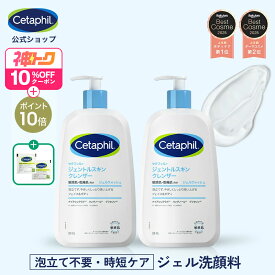 【神トク10%OFF&P10倍★5/16 1:59まで】【セタフィル 公式】楽天ベストコスメ1位 ジェントルスキンクレンザー 591ml 2本組 | ジェル洗顔料 全身 顔 ナイアシンアミド 乾燥肌 保湿 敏感肌 ポンプ 毛穴 洗顔料 大容量 ジェル 洗顔 朝用 朝洗顔 無香料 低刺激 肌荒れ クレンザー