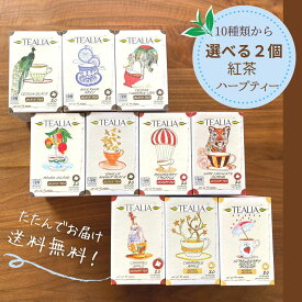 お中元 【まとめ割 選べる2種類】紅茶 ハーブティー ティーバッグ メール便 ご自宅用 120円引き 水出し 40包 紅茶セット ストレートティー アールグレイ マンゴー ラズベリー お土産 セット販売プレゼント ギフト お洒落 女性 ノンカフェイン 送料無料
