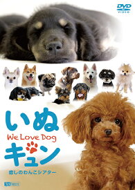 いぬキュン 癒しのわんこシアター We Love Dog