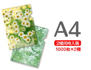 A4NAt@C1000+1000=2000