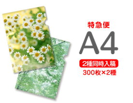 【特急便】A4クリアファイル300枚+300枚=600枚