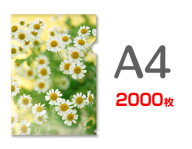 A4クリアファイル印刷2000枚