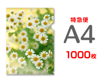 A4<br>クリアファイル1000枚（単価52円）