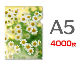 A5クリアファイル印刷4000枚（単価19.25円）