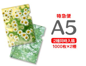 y}ցzA5NAt@C1000+1000=2000