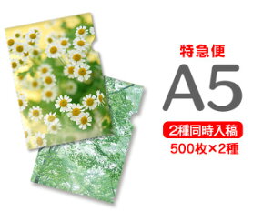 y}ցzA5NAt@C500+500=1000