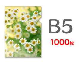 B5クリアファイル印刷1000枚（単価53円）