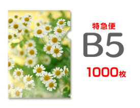 【特急便】B5クリアファイル1000枚（単価74円）