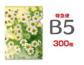 【特急便】B5クリアファイル300枚