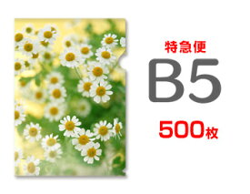 【特急便】B5クリアファイル500枚（単価122円）