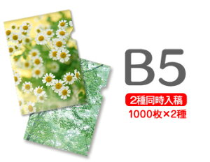 B5NAt@C1000+1000=2000