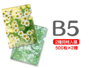 B5NAt@C500+500=1000