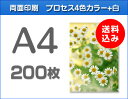 A4クリアファイル印刷200枚（単価117.5円） ランキングお取り寄せ