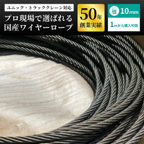 楽天市場】ワイヤーロープ 10mm 鋼芯の通販