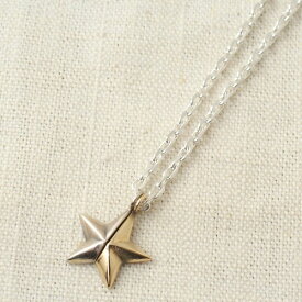 Atease NEW MILITARY STAR SV&K10 NECKLACE