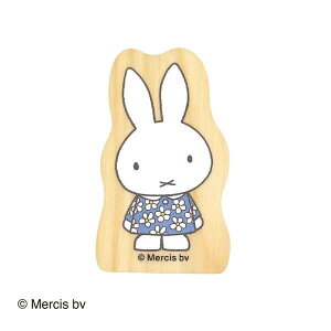 ǂ̂ u[i Ebhs[XX^v 2011-002