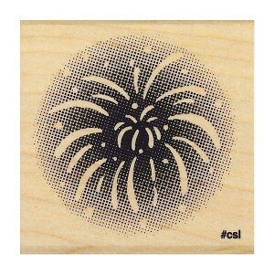 ǂ̂ NACuX^v 1535-037 ԉ΁ij