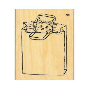 ǂ̂ NACuX^v 1536-011 ܃lR