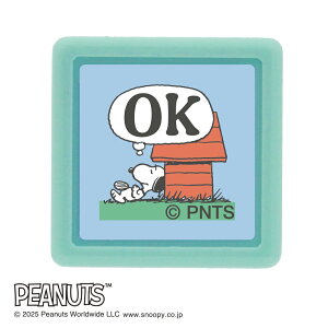 ǂ̂ NXk[s[~j|X^v 2219-001