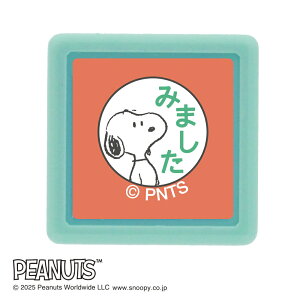 ǂ̂ NXk[s[~j|X^v 2219-002