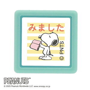 ǂ̂ NXk[s[~j|X^v 2219-005