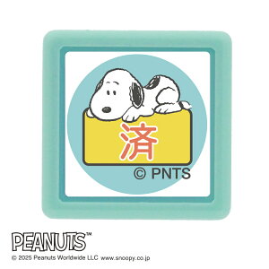 ǂ̂ NXk[s[~j|X^v 2219-006