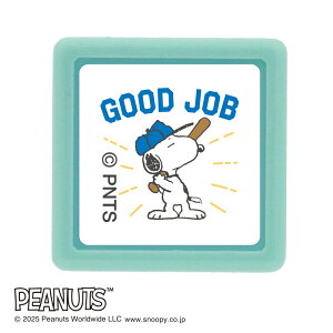 ǂ̂ NXk[s[~j|X^v 2219-008