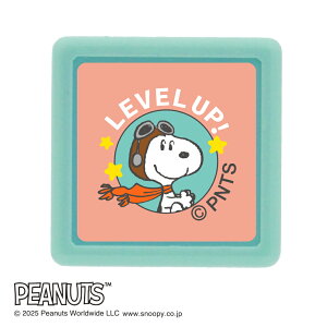 ǂ̂ NXk[s[~j|X^v 2219-010